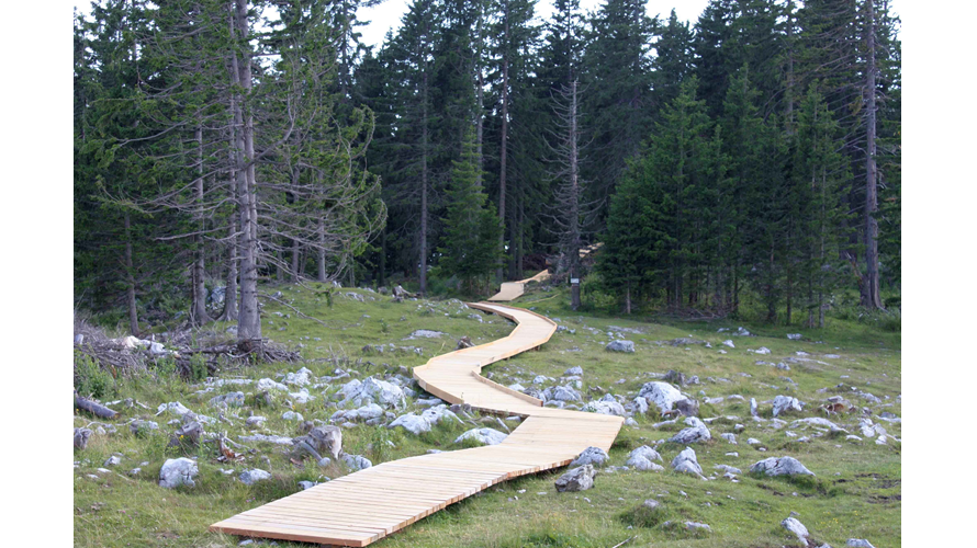 Bild4