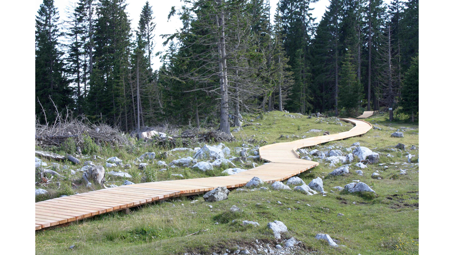 Bild5